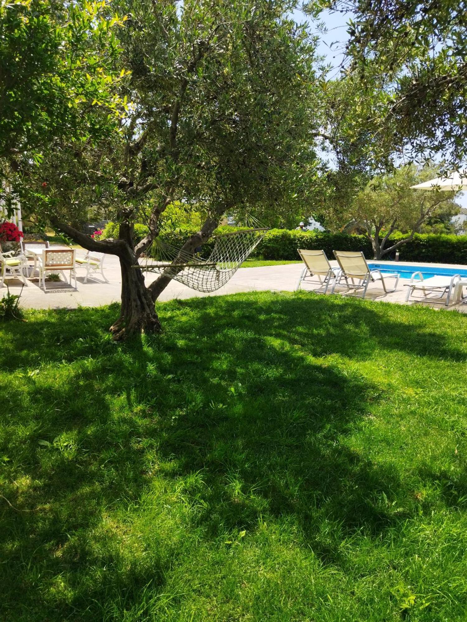 פלאקיאס Kassiani Studios מראה חיצוני תמונה